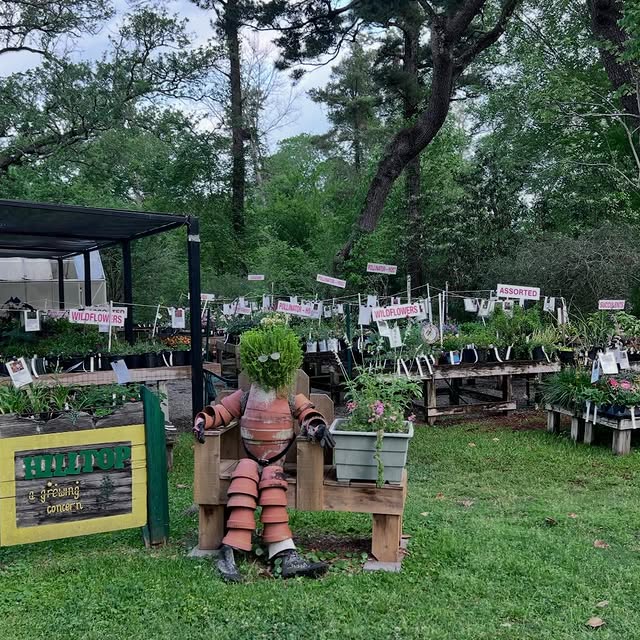 🌿 What should you actually buy at Hilltop's Spring Fling plant sale? 

Get the inside …