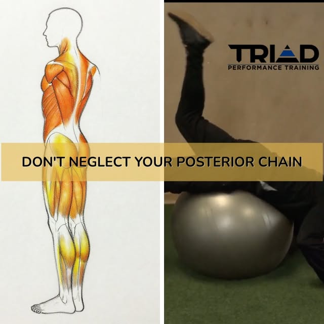 Posterior chain strength is one of the most underrated aspects of athletic performance—…