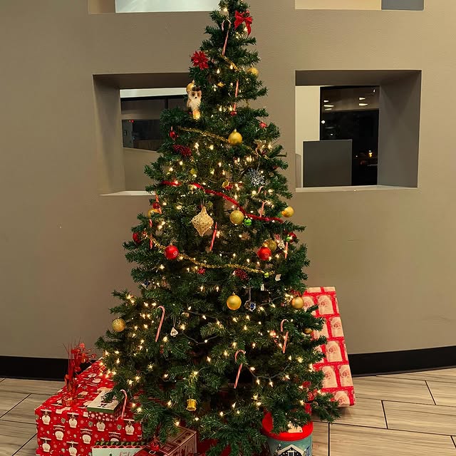 Phoenix Fitness is feeling festive!! Here are the hour changes for the upcoming holiday…