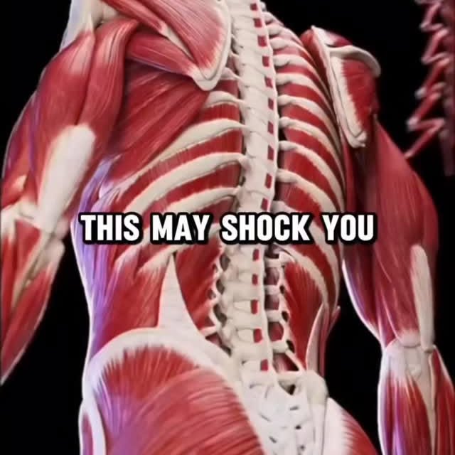 Chiropractors & physical therapists use spine manipulations at times to address low bac…