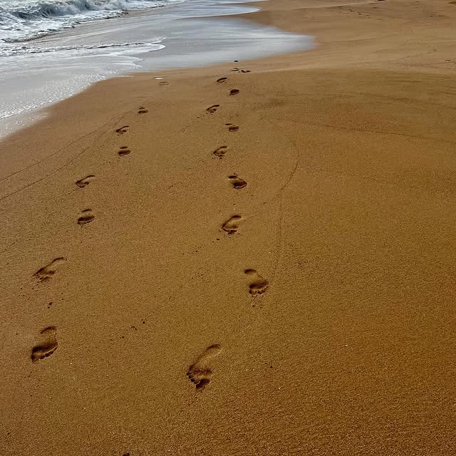 No one around.
Just ocean, and a swim that resets everything.

Panama Retreat
MECHA
Lin…