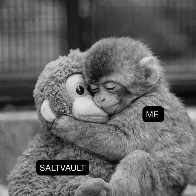 Me 🤝 Saltvault - a completely healthy attachment. 🫂