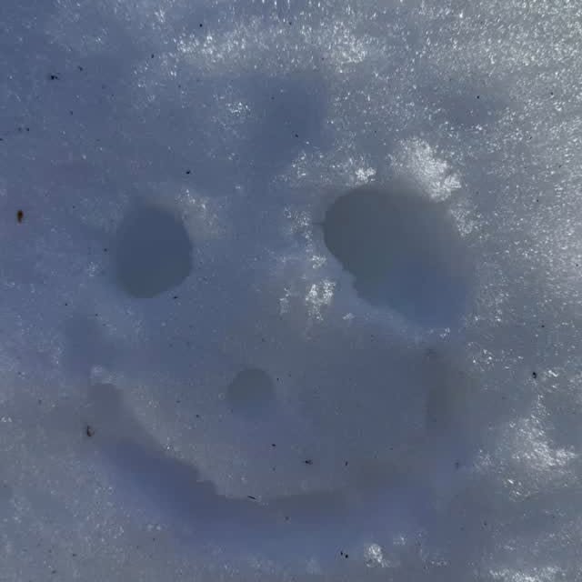 WODS, sweat & blizzards…
#crossfit #northkingstownri #crossfitcommunity #fitness #small…