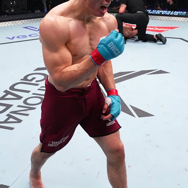 ONE HITTER QUITTER 👊

Kiwi Light Heavyweight prospect @NavajoStirling is looking for h…