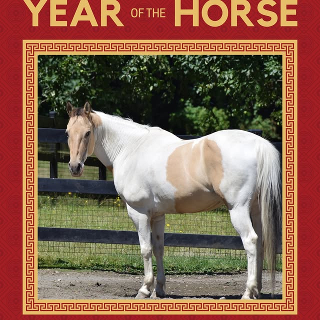 🐴 Celebrate Year of the Horse: Herd Highlight at Farrel-McWhirter Park

"Lacey" is a 2…