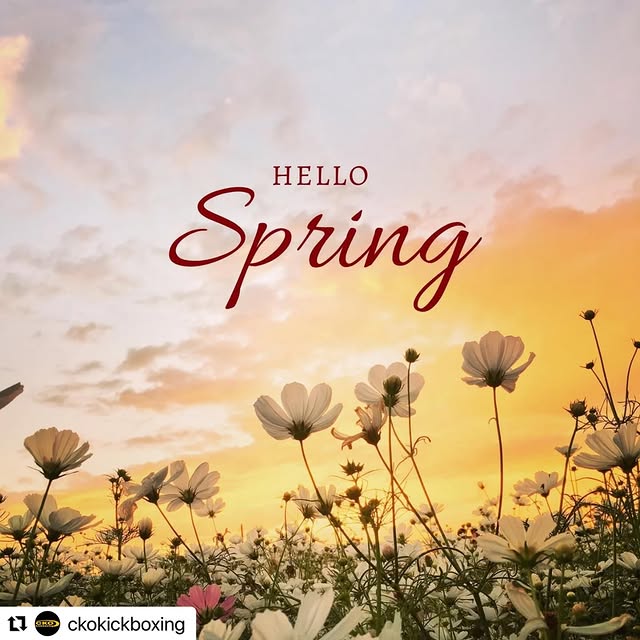 🔁 Our mindset and message remains the same 🙌

#Repost @ckokickboxing with @use.repost…