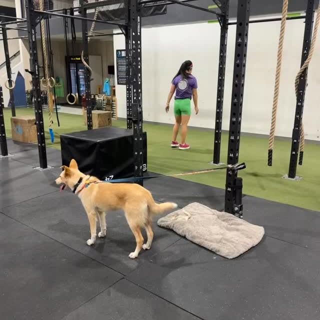 Saturdaaayyyzzzz with CFK! 💪🏼😅

#crossfitkingsville #cfkwerx #cfkstrong #cfkfamily #…