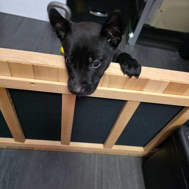 "Photo of the day "
It was Cisco's 1st day at Edgygirl and all the clients immediately …