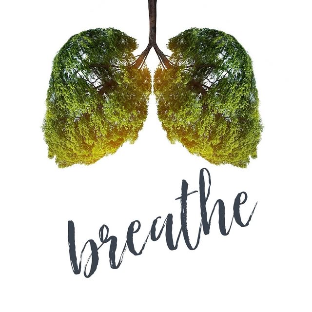 Feeling stressed?

There’s one simple thing you can do right now to help:  Breathe!

Pr…