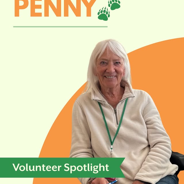 For 10 years, Penny has been a dedicated volunteer with Grey Bears, supporting seniors …