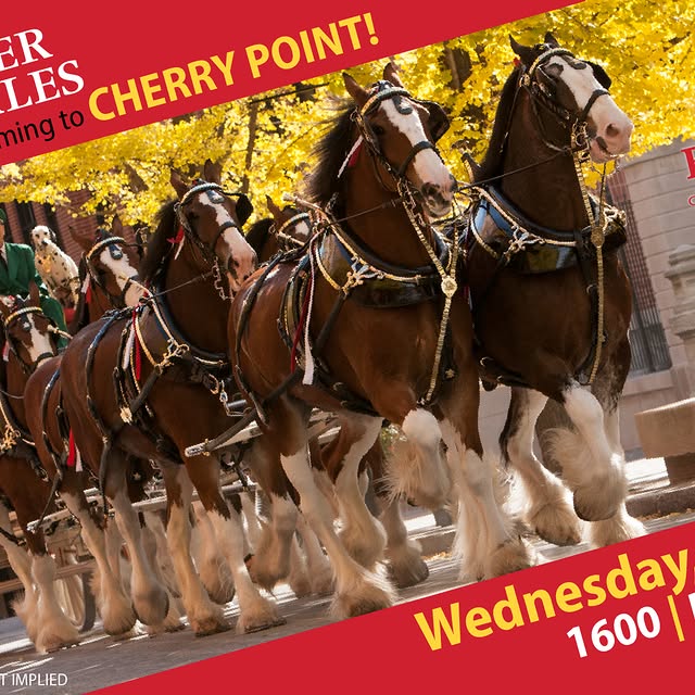 Join us THIS Wednesday 25 March at the Public House parking lot for the Budweiser Clyde…