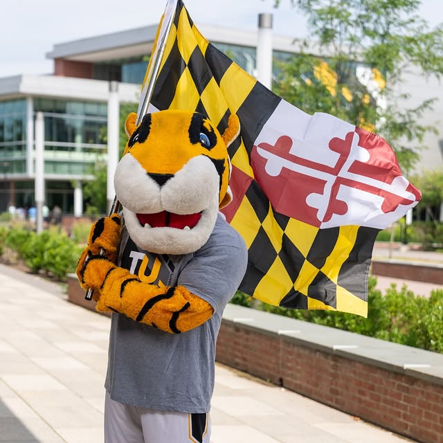 Tigers, if you grew up in Maryland, what's one thing an out-of-state Tiger should know …