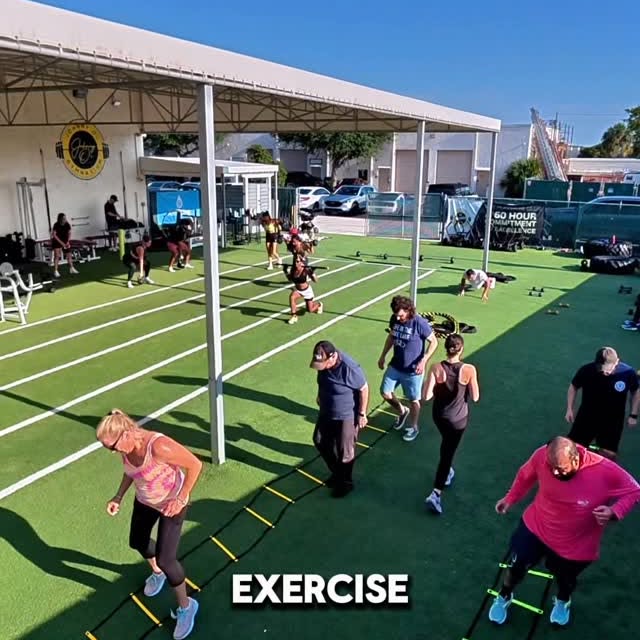 Exercise prevents dementia by boosting blood flow to the brain, reducing inflammation, …