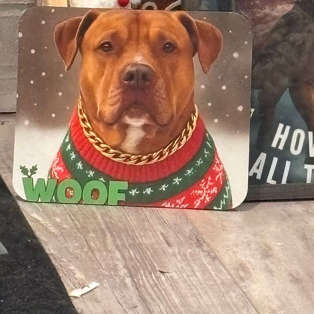 What a great Christmas. Grand kids,both boys, and my wifey. Chill day with some very th…