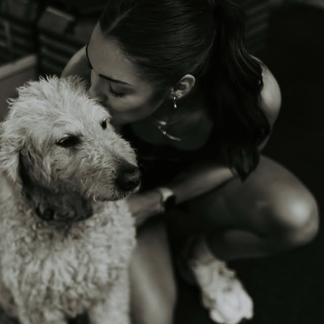 I’m truly heartbroken to tell you guys I had to say goodbye to our Mayzie girl yesterda…