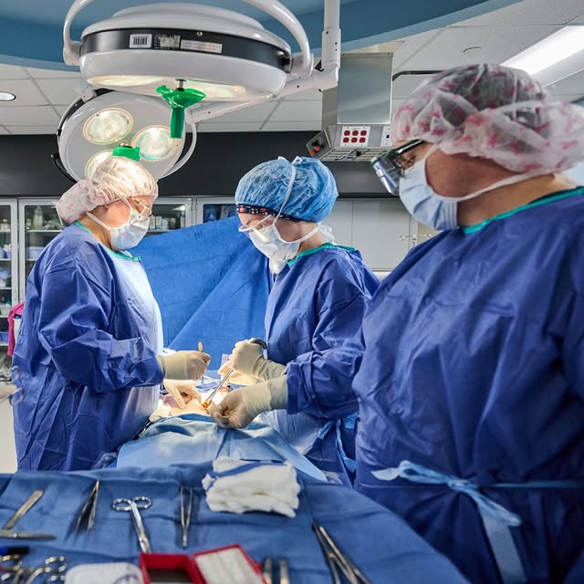 Ready for a hands-on career in healthcare? ✨🩺

Our Surgical Technologist program prepa…
