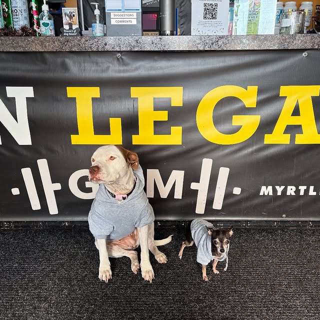 Hoodies on, time to break a mean sweat!