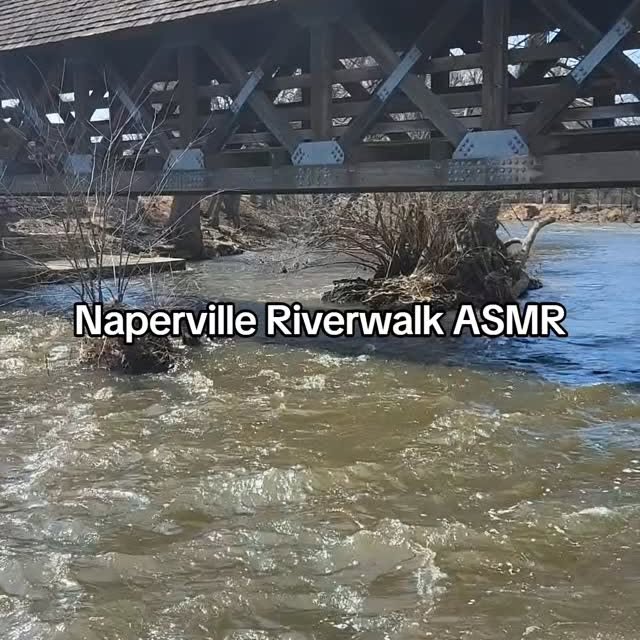 What a beautiful weekend to be out on the Riverwalk! Did you get outside and enjoy the …