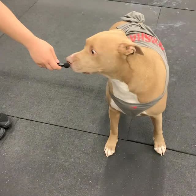 Before and After 😂