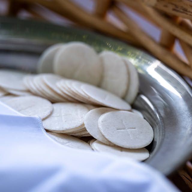 This fifth Sunday of Lent, we turn our hearts toward the depth of Christ’s love and the…