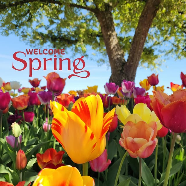 Happy first day of spring! 🌸🌿 How are you starting fresh—spring cleaning, getting out…