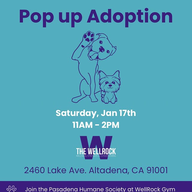 Barbells and belly rubs! 🐶 

Join @pasadenahumane at The WellRock this Saturday from 1…
