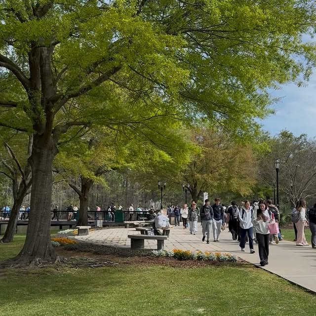 #CCU in full bloom 🌷 #FirstDayOfSpring