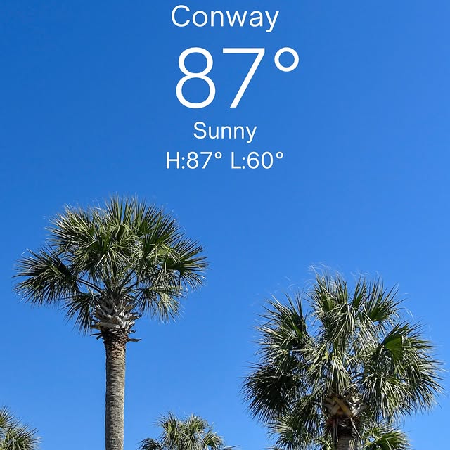 87° and sunshine… and did we mention the UV is 8? 😌