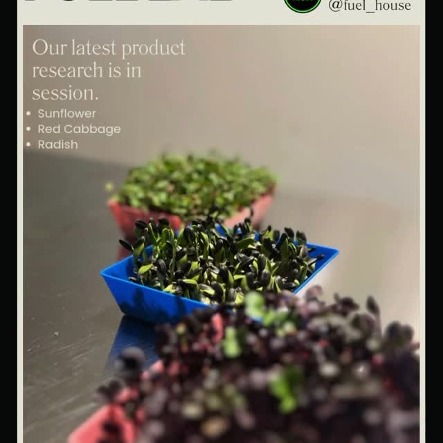 Welcome to the Fuel Lab. We’re testing raw ingredients for real results — not trends. S…