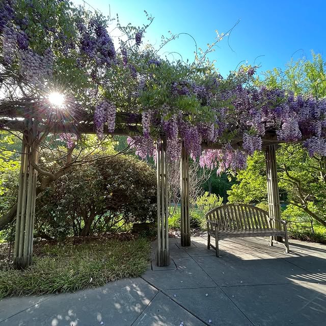 Missed the first Guided Mindfulness Walk yesterday? The Connections in Nature Walk was …