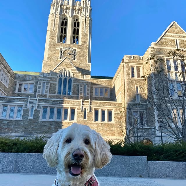 The cutest way to celebrate National Puppy Day 🐶 🐾 🥺 #bc360 Photo: Ava Vranos '28, @…