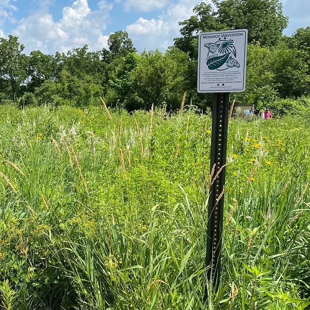 Did you know March 14 is Learn about Butterflies Day? 🦋 Butterflies are one of the man…