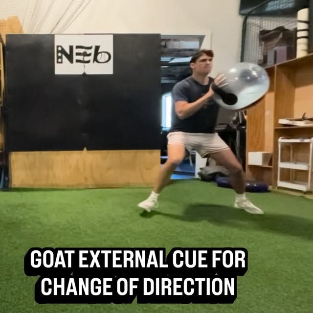 Building off my previous post - an implement: med ball, water ball, etc. - moved in spa…