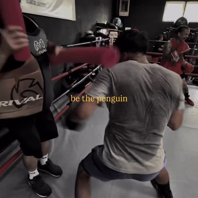 But why? 🐧😤🏔️🥊

Penguin mentality> 

#boxing #boxeo #sparring #motivation #boxinggym