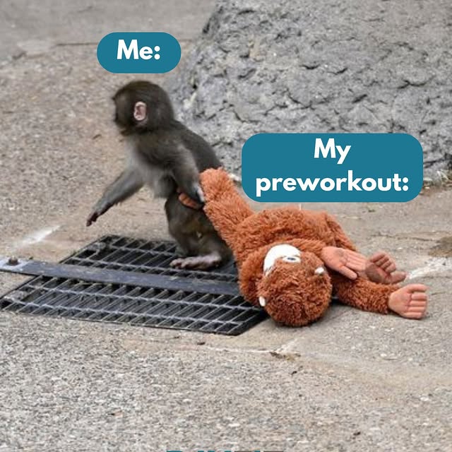 Let’s be real: Punch is all of us 🤣🐒 

Some would say these things are the recipe for…