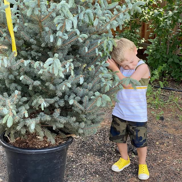 Join us on Saturday, April 18, from 9 a.m. - 12 p.m. at Anderson Park for a Tree Sale y…