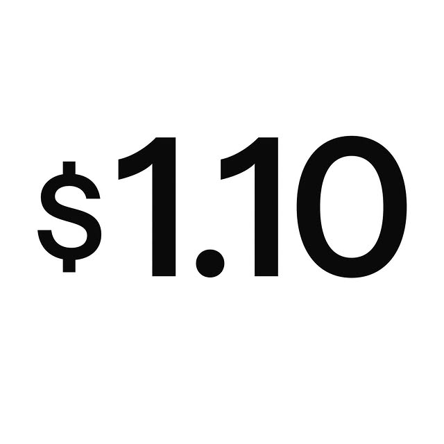 $1.10 a day. Full platform access. An AI business partner. And a real person to help yo…