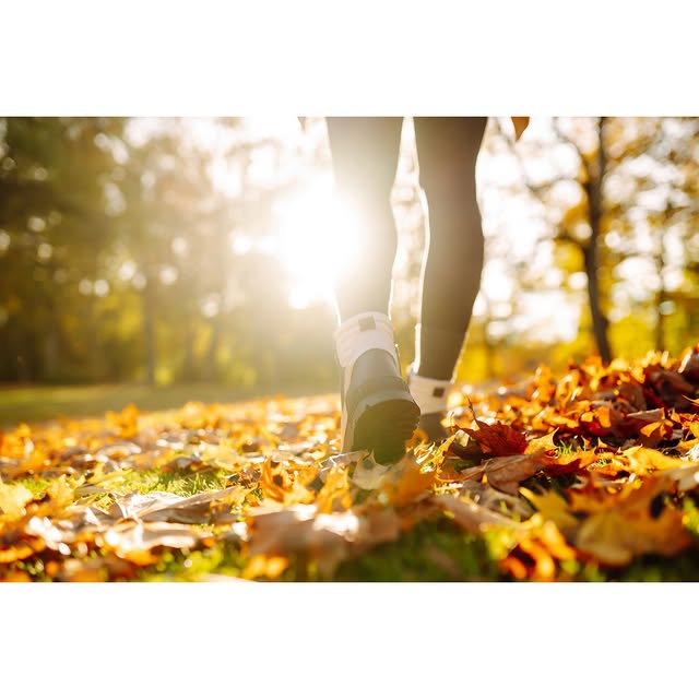 Explore a world of fitness possibilities at kurafit.com! Discover personalized training…