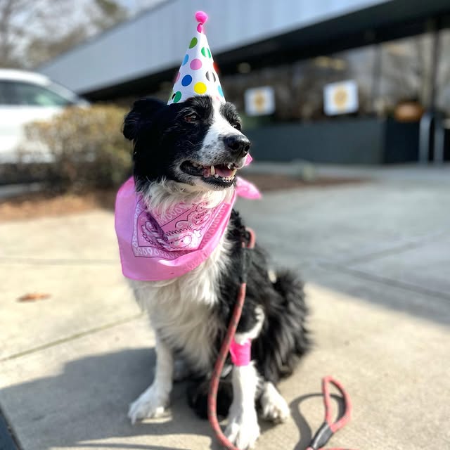 Today is a BIG day! Parker graduated from chemo today! Dr. Campbell & the folks at CARE…