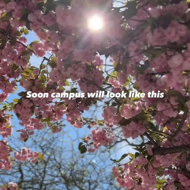 We can already smell the flowers Pioneers🪻🌸🌺🌻💐🌼