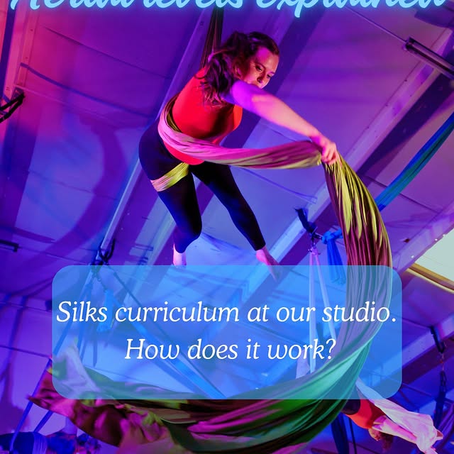 WHAT LEVEL AM I? 🤔

An closer look at the different levels of silks classes we offer; …