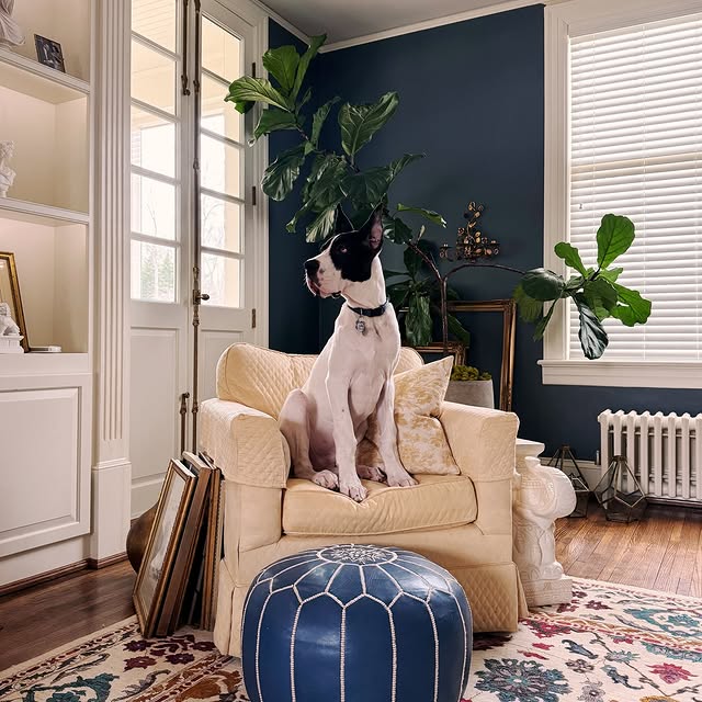 Moses and his love of sitting in chairs