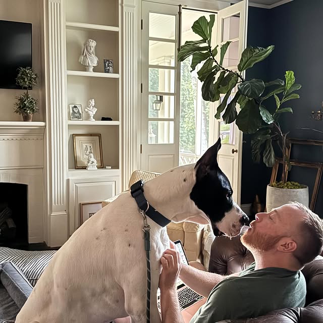 He has now taught himself to get ice anytime he wants it … the tape is there to keep hi…