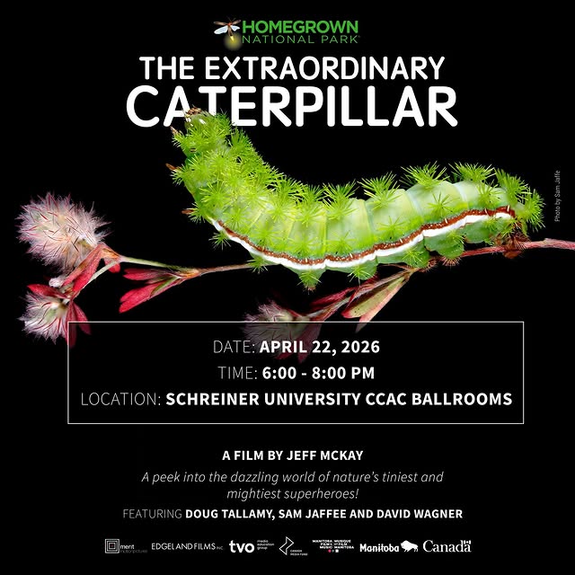Get a closer look at nature’s tiniest superheroes 🐛✨

Celebrate Earth Day with a speci…