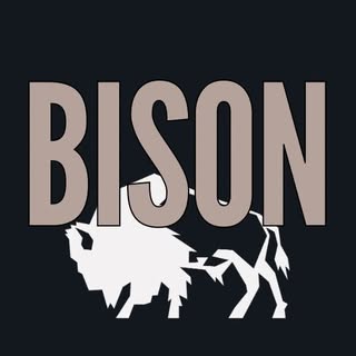 Bison Fitness