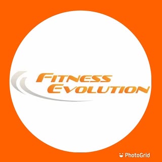 Fitness Evolution Of Minnesota