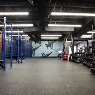 Flight Performance & Fitness