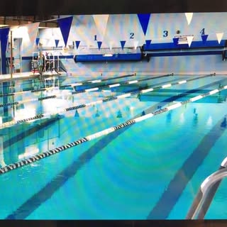 The Wellness Complex