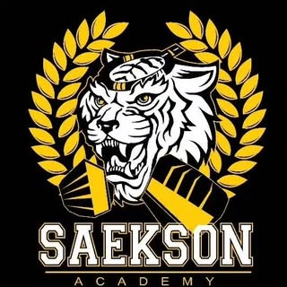 Saekson Academy