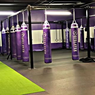 Protege Performance- Boxing and Fitness